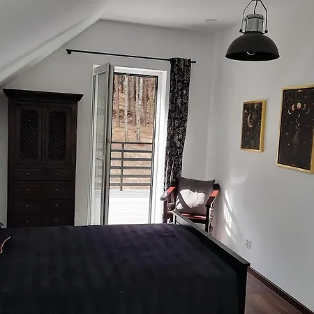 Brzozowa Skarpa - Dom Nad Jeziorem Apartmán